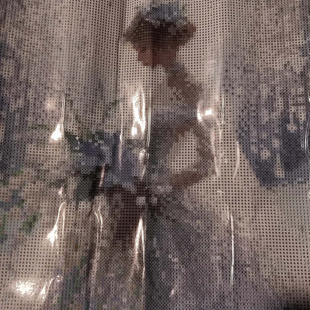 Elegant Bride Diamond Art Paint Kit 40x40